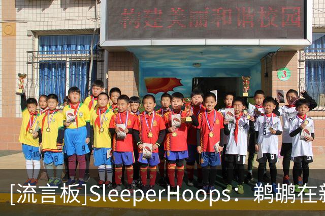 [流言板]SleeperHoops：鹈鹕在新赛季正在打造一套低调的阵容